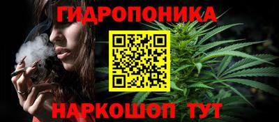 сатива Заводоуковск