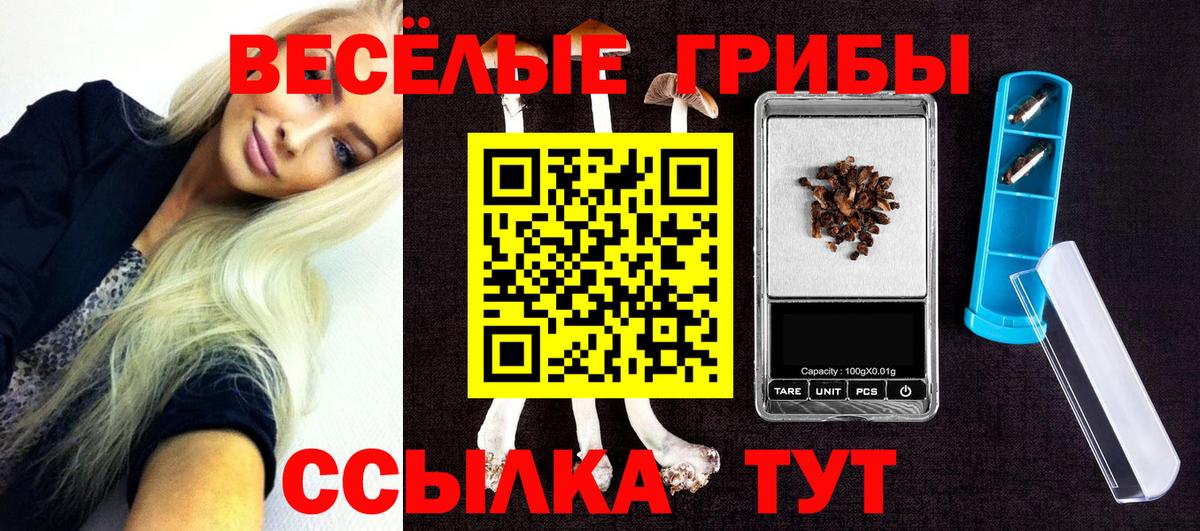 Галлюциногенные грибы Magic Shrooms  Вход с VPN  Зеленодольск 